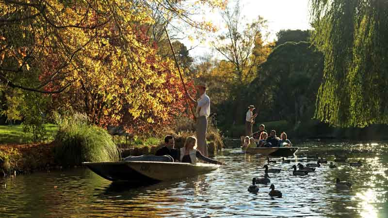 Glide down the tranquil waters of the Avon river - the way life should be!.