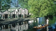 Punting on the Avon