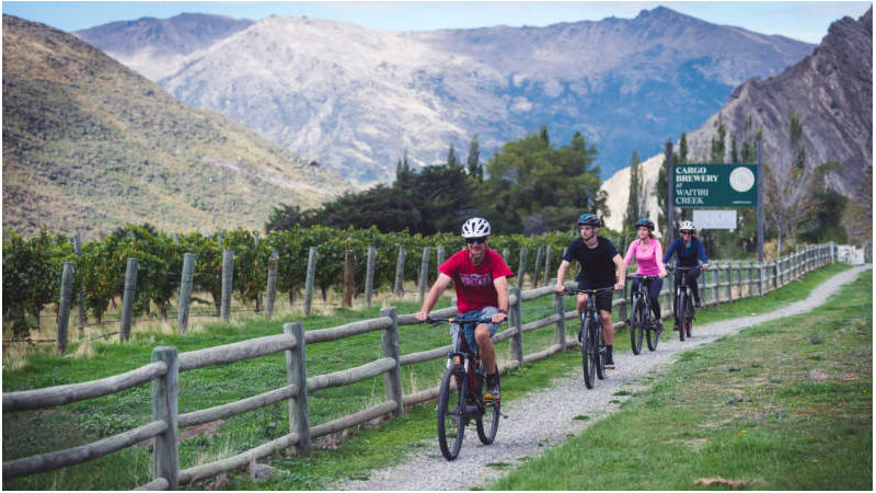 Enjoy a  brilliant afternoon exploring the wine region of Gibbston Valley at your own pace.