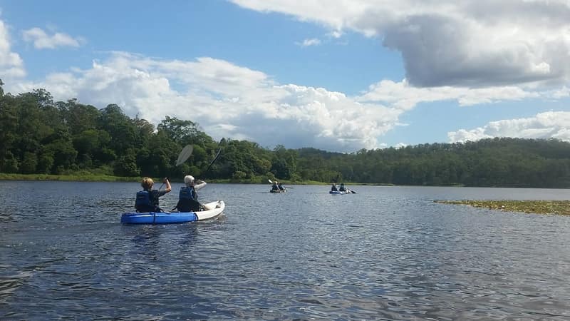 Take yourself on a DIY kayaking tour of the peaceful Enoggera Reservoir.