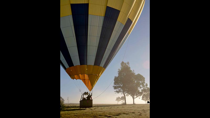 Be hypnotised by the breathtaking views at sunrise over the colourful vineyards of Hunter Valley followed by champagne and a gourmet breakfast - this is an activity not to be missed!

