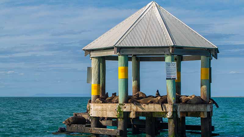 Things to do Portsea