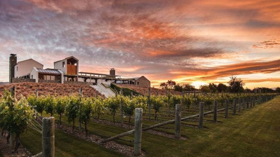 Leave the car at home and we’ll drive you through NZ’s largest wine region! Your choice of 19 venues including 13 wineries a brewery, Omaka Aviation Centre, Omaka Classic Cars, a chocolatier and more.