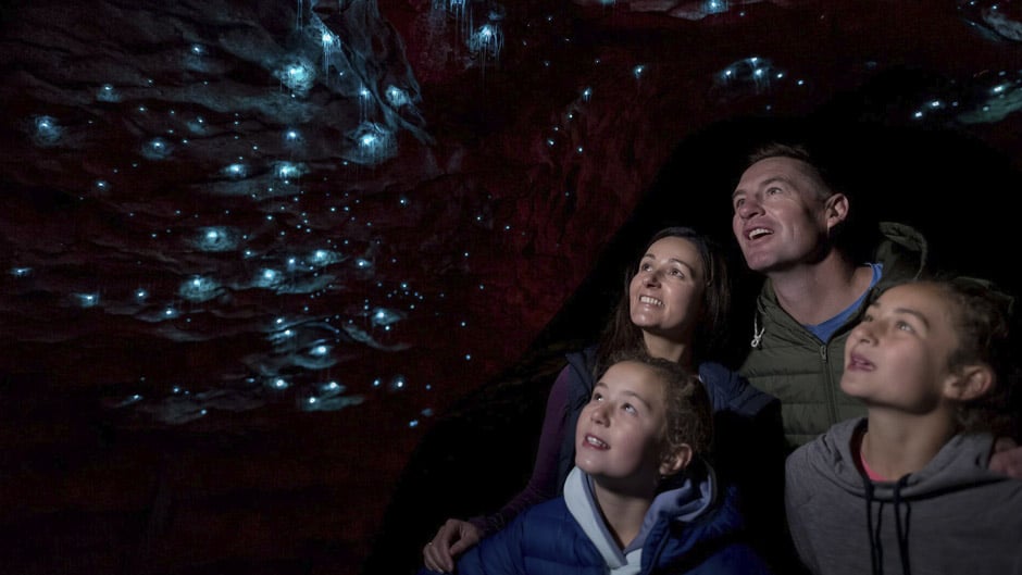 Experience a mysterious underground world of rushing water before drifting in silent darkness beneath the luminous shimmer of hundreds of glowworms. 