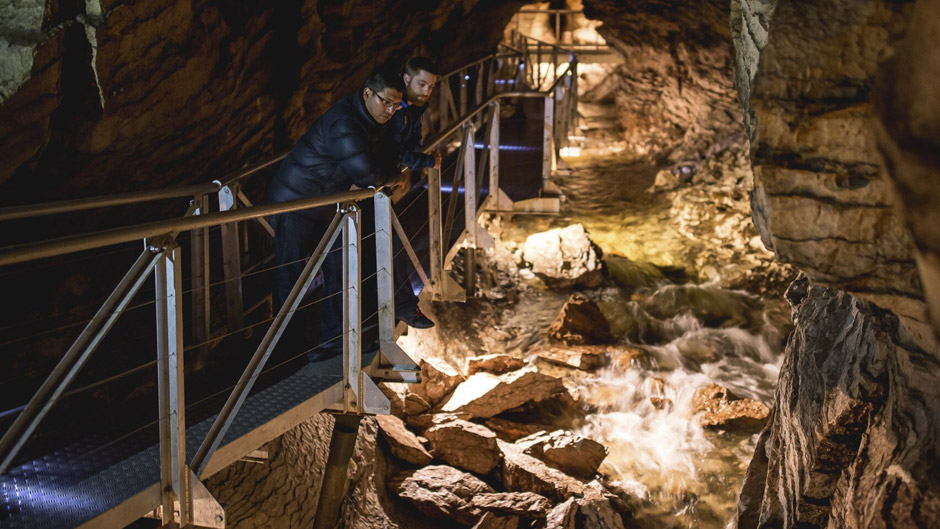 Experience a mysterious underground world of rushing water before drifting in silent darkness beneath the luminous shimmer of hundreds of glowworms. 