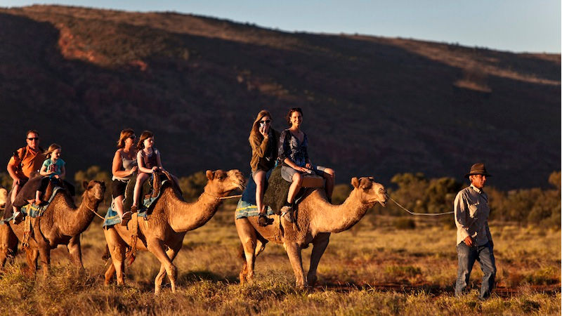 Discover the real Australian outback as you explore unique landscapes and scenic valleys from the back of a camel...