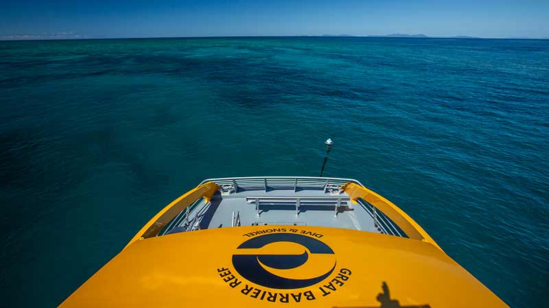 See the world beneath the waves and snorkel at one of the most famous reefs - The Great Barrier Reef!