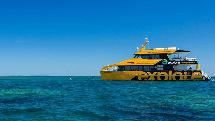 Great Barrier Reef Full Day Snorkel Trip with Explore Group - Departs Shute Harbour