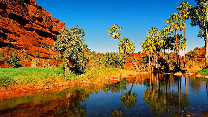 Discover the wonders and rugged beauty of Palm Valley and enjoy a fascinating peek into the history of the Hermannsburg Aboriginal Community... 
