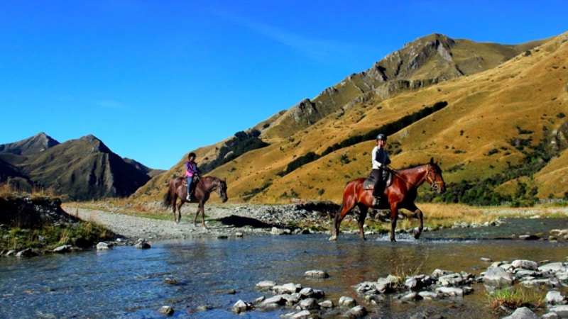 Come along for this relaxed scenic horse trek located on prime Queenstown back country. 