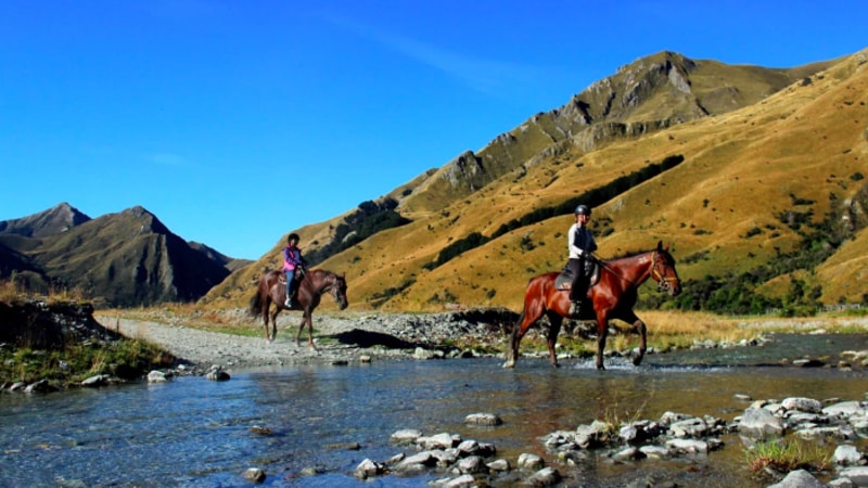 A relaxed paced horse trek through beautiful farmland to the shores of Moke Lake...