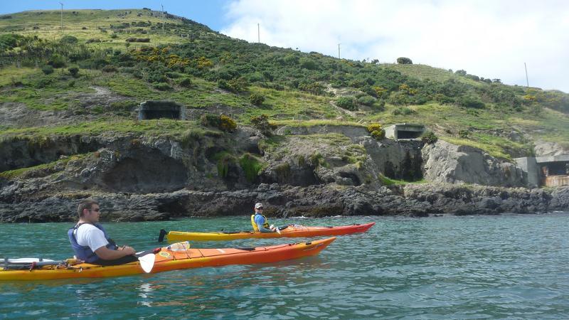 Join us for relaxing, fun and unforgettable excursion as we explore Otago’s renowned marine wildlife!