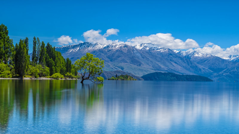 Explore iconic landmarks and breath-taking scenery as we conveniently travel from Cromwell to Arrowtown stopping at all the best bits in between...