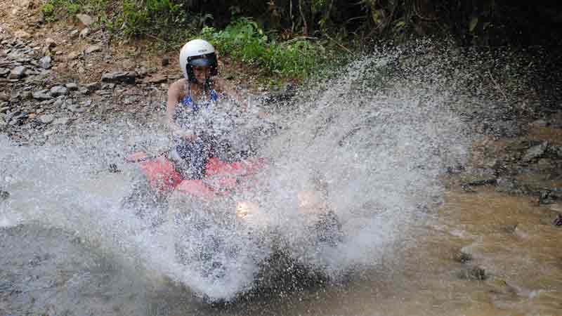 Half day quad bike adventure ride at Daintree Station. A fantastic guided trip around old logging Rainforest tracks on easy to ride quad bikes