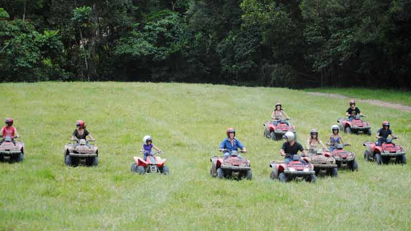Half day quad bike adventure ride at Daintree Station. A fantastic guided trip around old logging Rainforest tracks on easy to ride quad bikes