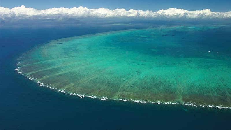 Great snorkelling 