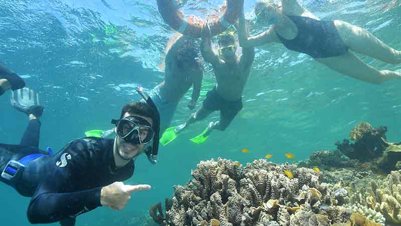 Great snorkelling 