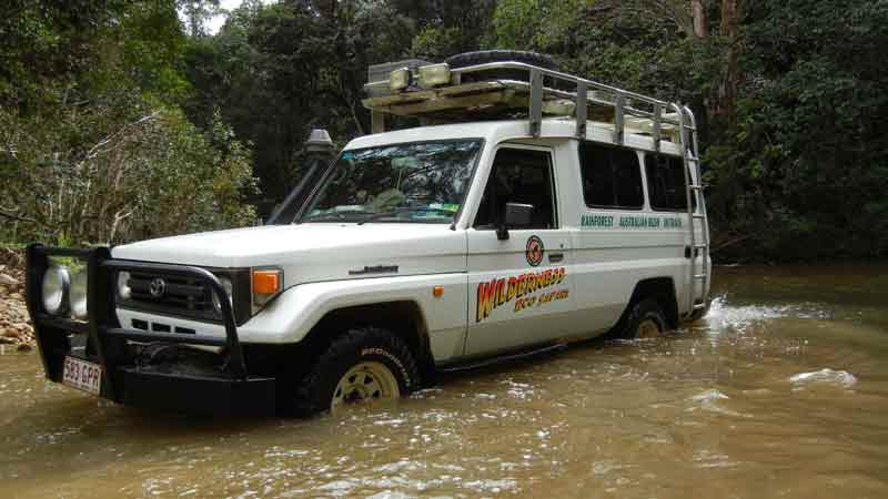 Take a journey offroad to exclusive restricted access areas of the rainforest. You are gauranteed small groups and no crowds on this multi award winning 4WD tour