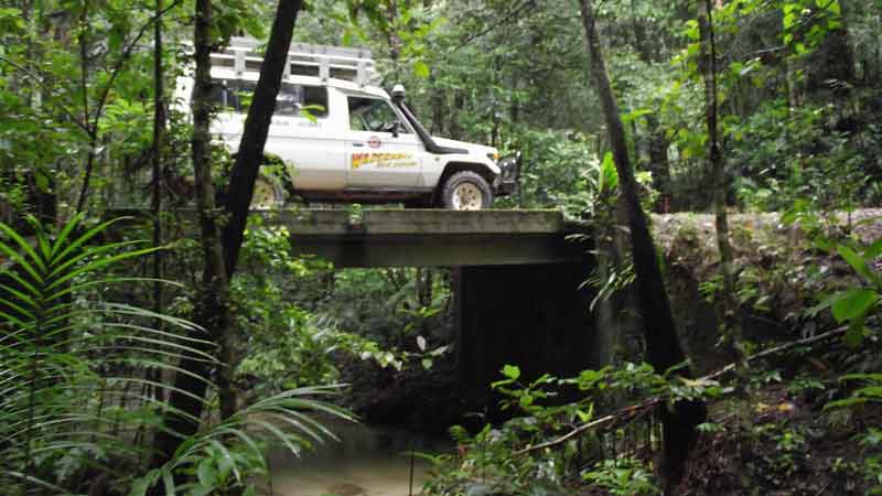 Take a journey offroad to exclusive restricted access areas of the rainforest. You are gauranteed small groups and no crowds on this multi award winning 4WD tour