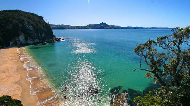 Join Coromandel Paddle Boarding for a fun scenic SUP tour, following the calm coastal waters to Lonely Bay.