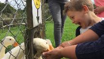 Karangahake Gorge - Bullswool Farm Park Entry