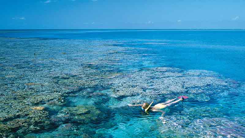 See the best of the Whitsundays over 2 action packed days, snorkel the Outer Great Barrier Reef, visit Whitehaven Beach, visit an island resort and more!