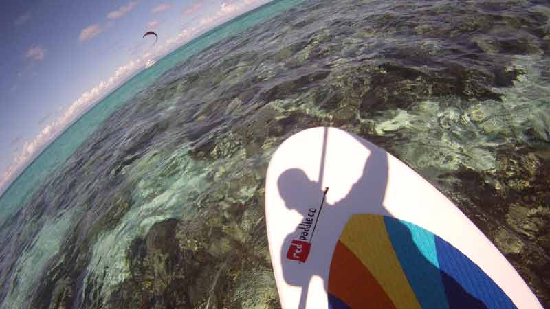 Join us for a morning paddle at 4 mile beach, Port Douglas. A magic way to start the day!