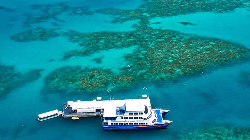 It’s time to tick off diving at the Great Barrier Reef on your bucket list with this epic day trip from Cairns!