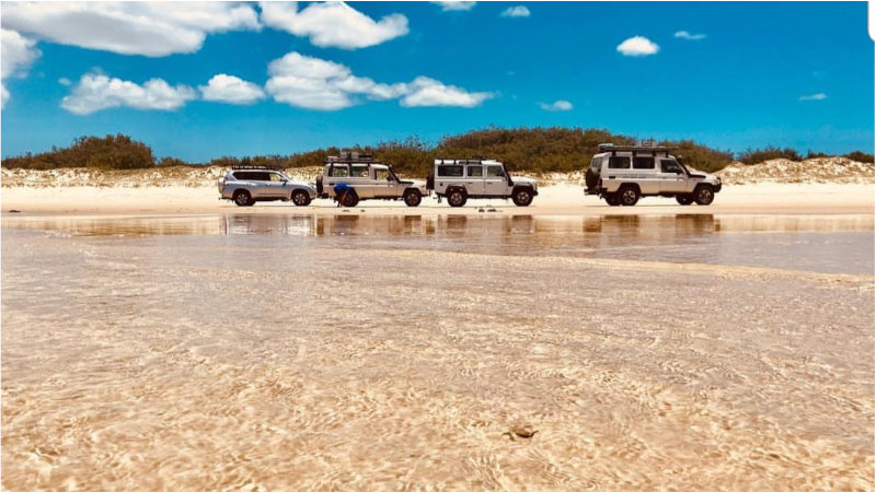 Explore North Stradbroke Island on a 4WD adventure with Coastal Island Safaris! We take a day tour to the beautiful subtropical island and along the way experience pristine swimming beaches, 4WD to a picturesque gorge, spot numerous wildlife species and enjoy a classic Aussie BBQ on the beach!