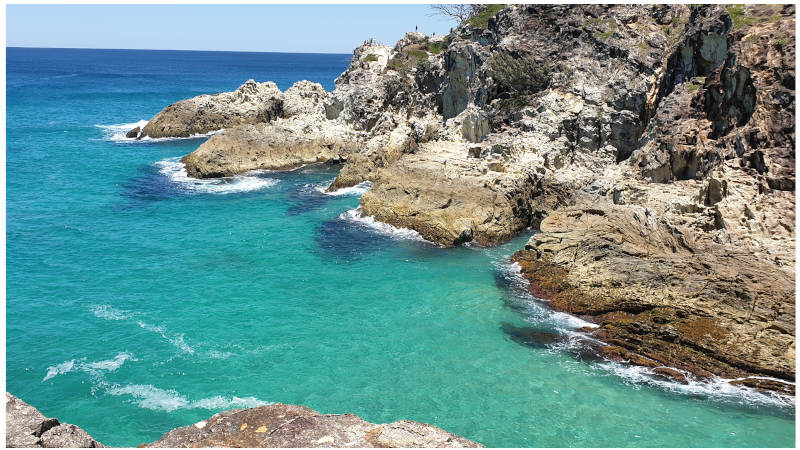 Explore North Stradbroke Island on a 4WD adventure with Coastal Island Safaris! We take a day tour to the beautiful subtropical island and along the way experience pristine swimming beaches, 4WD to a picturesque gorge, spot numerous wildlife species and enjoy a classic Aussie BBQ on the beach!