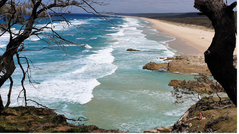 Explore North Stradbroke Island on a 4WD adventure with Coastal Island Safaris! We take a day tour to the beautiful subtropical island and along the way experience pristine swimming beaches, 4WD to a picturesque gorge, spot numerous wildlife species and enjoy a classic Aussie BBQ on the beach!
