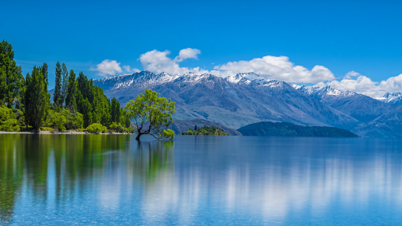 Lap up the beauty of Arrowtown and Wanaka plus discover all the iconic landmarks and gems in between on an epic Half Day scenic tour...