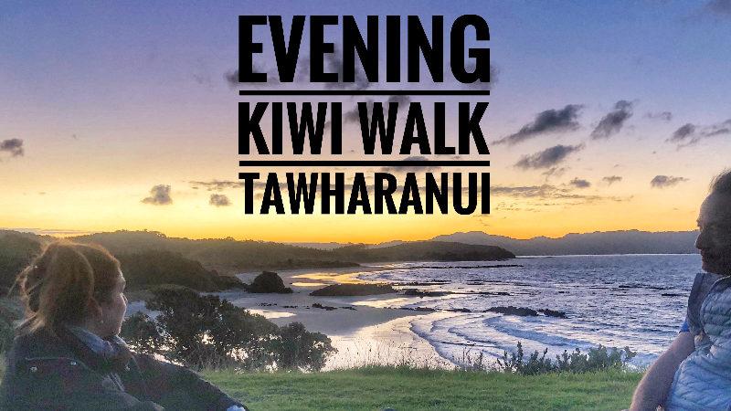 Join your local tour guide, Ness, for a fantastic evening exploring the Tawharanui Bird Sanctuary, home to the New Zealand Kiwi!
