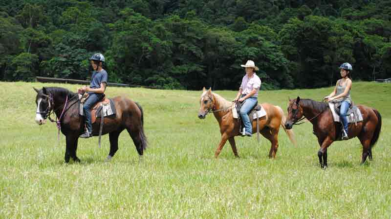 Riding through the edge of the Daintree Rainforest and over picturesque farmland, you get to experience two trail rides in one!