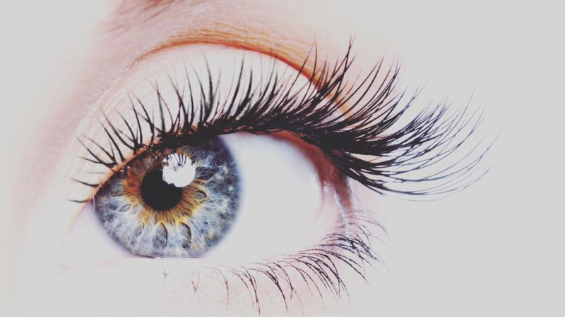 Allow the expert team at Nails on Five Mile shape and tint your brows perfectly, followed by a lash tint to rejuvenate your beauty game!
