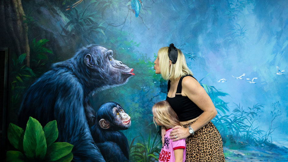 Step into a magical world of optical illusions and larger than life murals at Australia’s first Trick Eye Art Gallery!