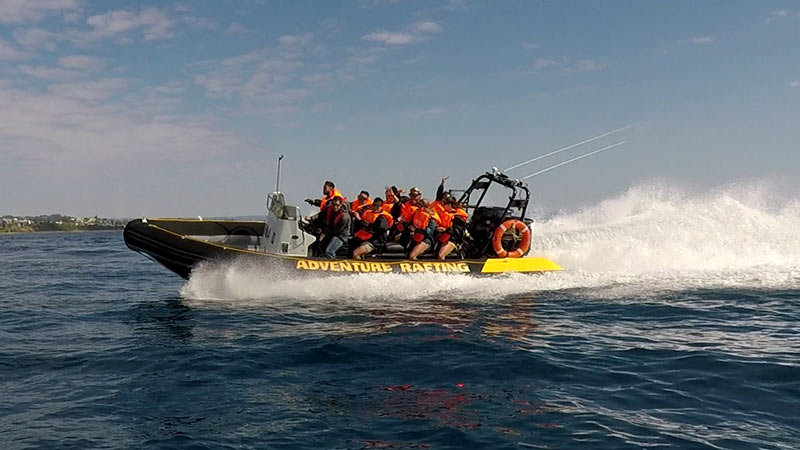 Join us for an incredible experience as we watch majestic Humpback whales migrate past our stunning coastline!