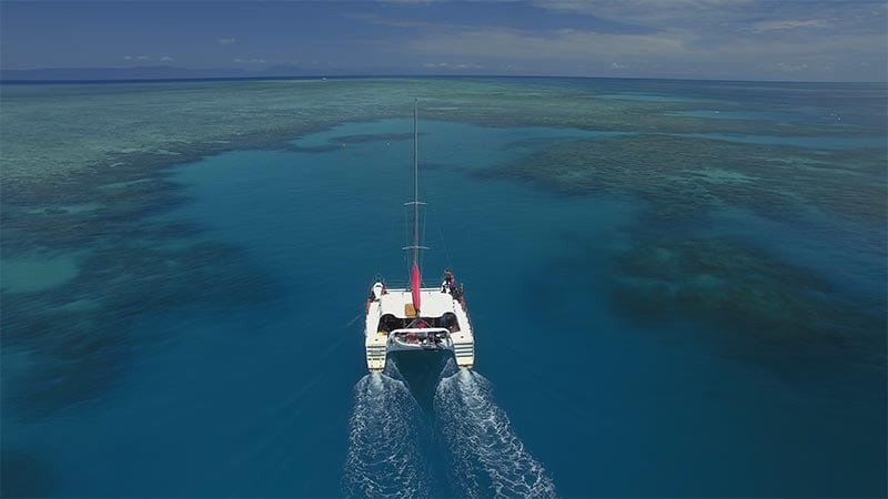 Sail away on Reef Daytripper as we visit the Great Barrier Reef aboard a charming catamaran! We take our small group of passengers to the picturesque Upolu Reef for fun filled day out on the Reef!