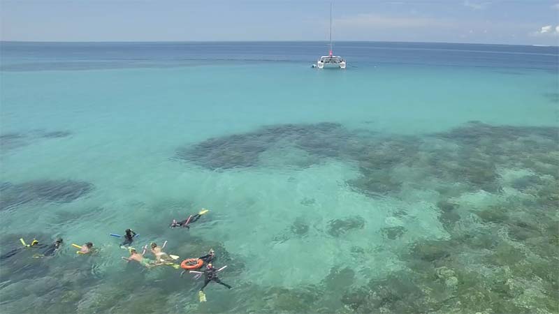 Sail away on Reef Daytripper as we visit the Great Barrier Reef aboard a charming catamaran! We take our small group of passengers to the picturesque Upolu Reef for fun filled day out on the Reef!