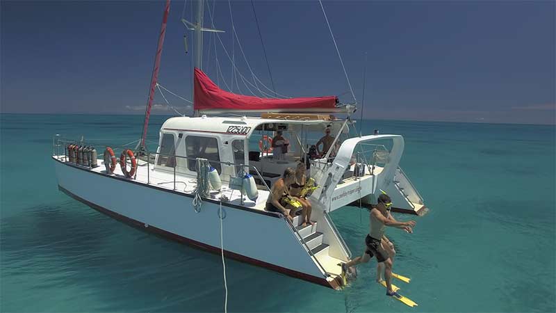 Sail away on Reef Daytripper as we visit the Great Barrier Reef aboard a charming catamaran! We take our small group of passengers to the picturesque Upolu Reef for fun filled day out on the Reef!