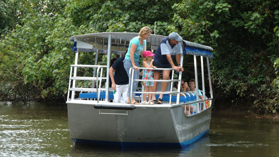 Come and see wildlife in their natural environment on the Daintree River. Come with us as we look for species such as crocodiles, snakes, and birds.