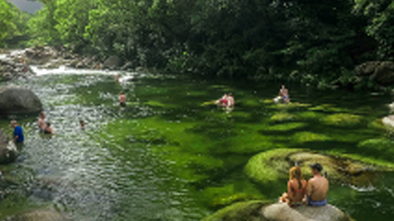 Join us for a magical journey exploring Port Douglas and the beautiful Mossman Gorge on this half day guided tour.