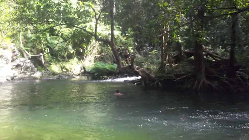 Cairns is renown for its fantastic mountain biking, come with us for an amazing guided tour