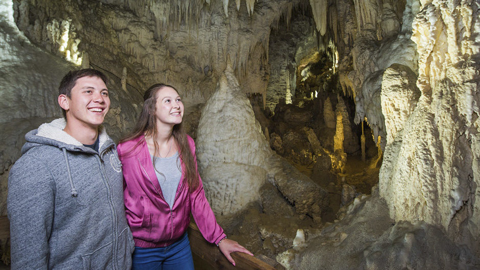 Discover all that Waitomo has to offer with this super scenic Triple Cave Combo, where you’ll discover three of the most breathtaking, magical caves in Waitomo and in New Zealand. 