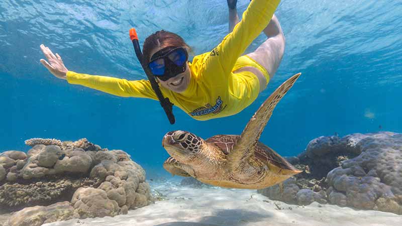 Join Ocean Safari as we set off from The Daintree Coast, Cape Tribulation, for an exhilarating ride out to snorkel some of the most pristine areas of the Great Barrier Reef! This is your chance to snorkel with Turtles!