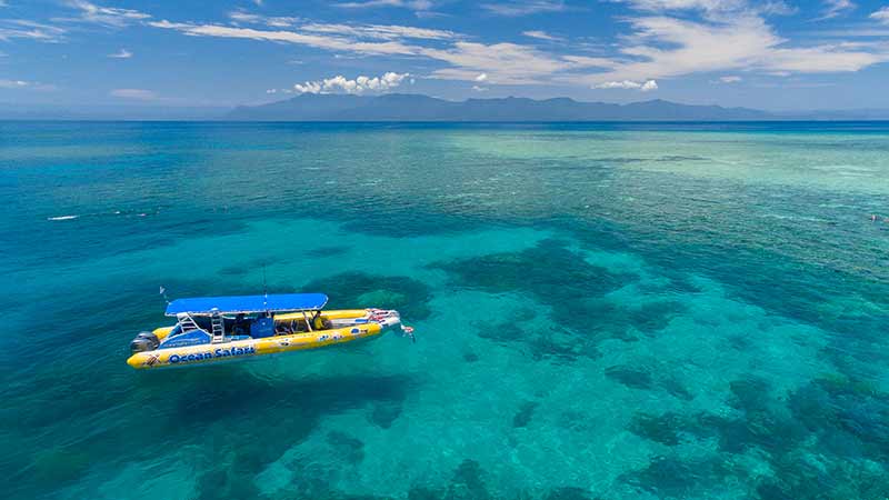 Join Ocean Safari as we set off from The Daintree Coast, Cape Tribulation, for an exhilarating ride out to snorkel some of the most pristine areas of the Great Barrier Reef! This is your chance to snorkel with Turtles!