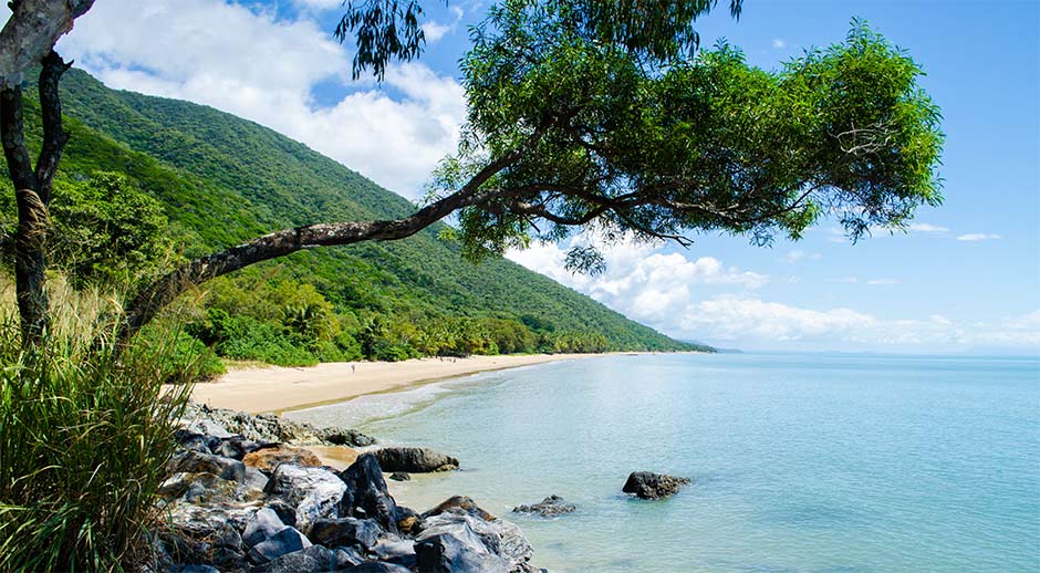 This unforgettable Daintree Rainforest Tour includes Cape Tribulation and an impressive line up of epic activities and amazing sights jam-packed into one full day adventure! Departing from Cairns and Port Douglas.