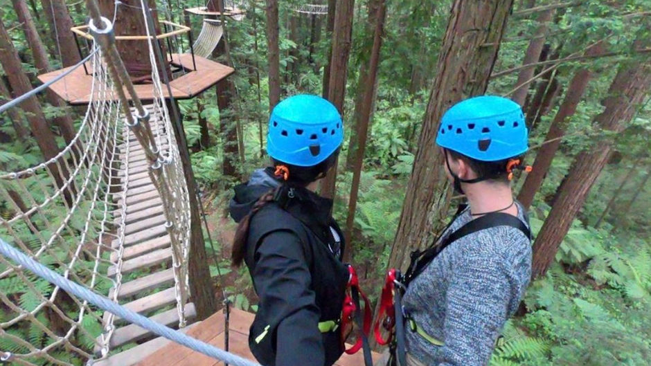 Redwoods Altitude is a separate offering from the main Treewalk and offers a fully guided experience, up to 25 metres high!