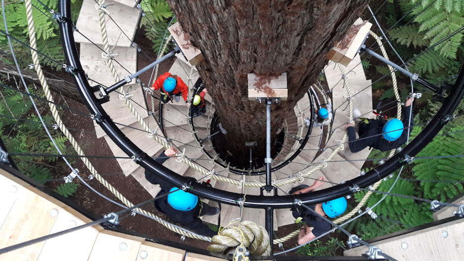 Experience the magic of the Redwoods forest from 25 metres high on our exhilarating Altitude walk!