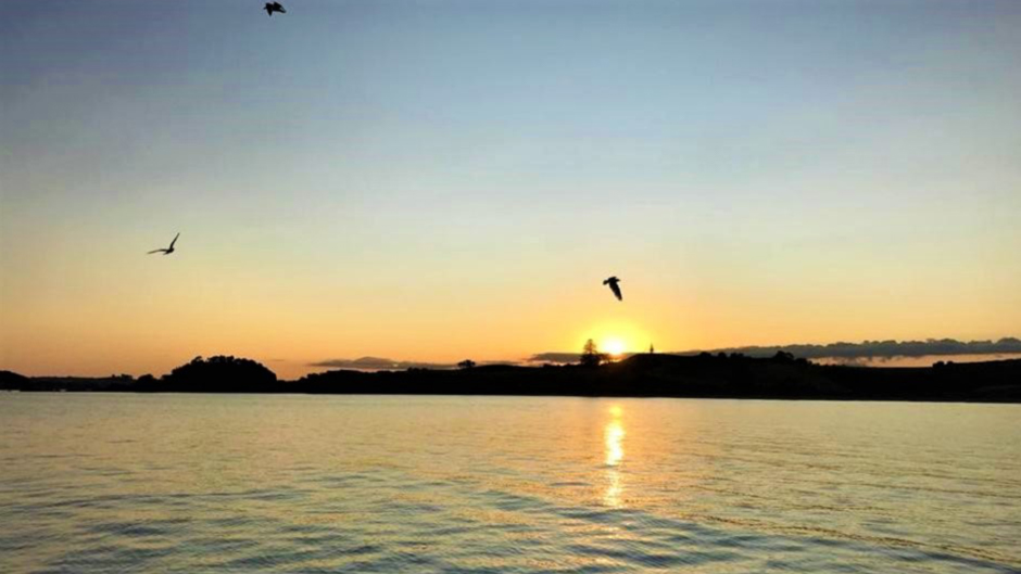Gourmet Dinner and Sailing Experience Deal